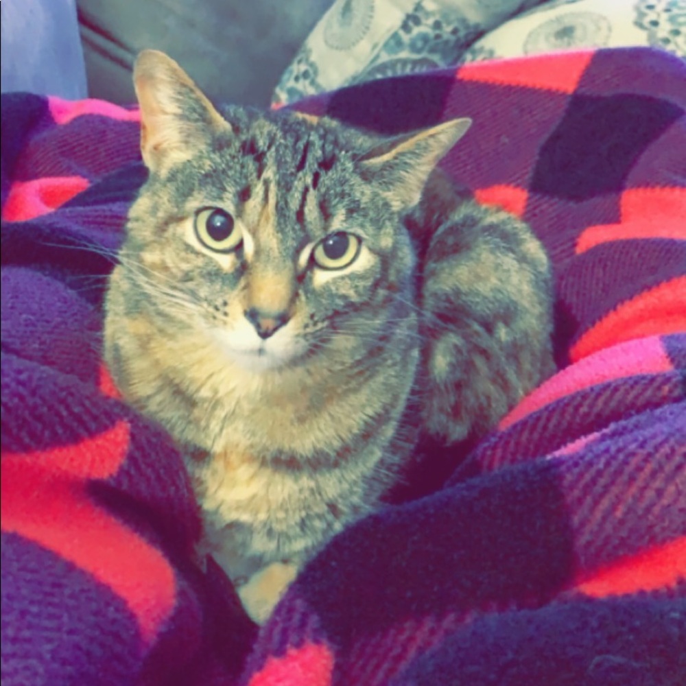 Meet your Posher, Olivia